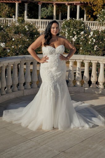 Casablanca Curvy 2454C #0 default thumbnail