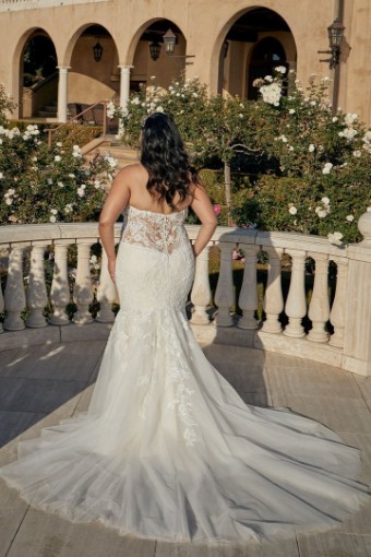 Casablanca Curvy 2454C #1 thumbnail