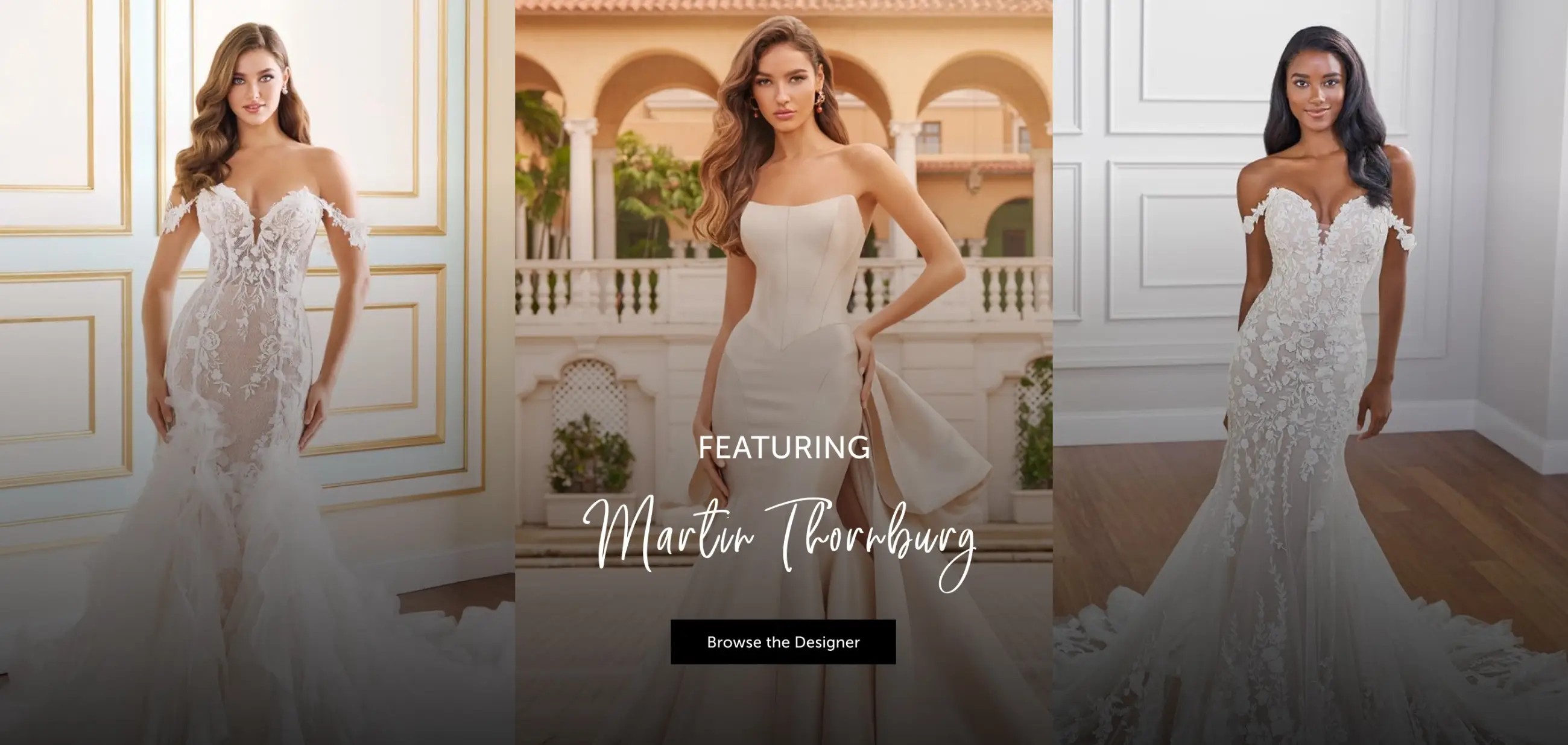 Martin Thornburg Banner for Desktop